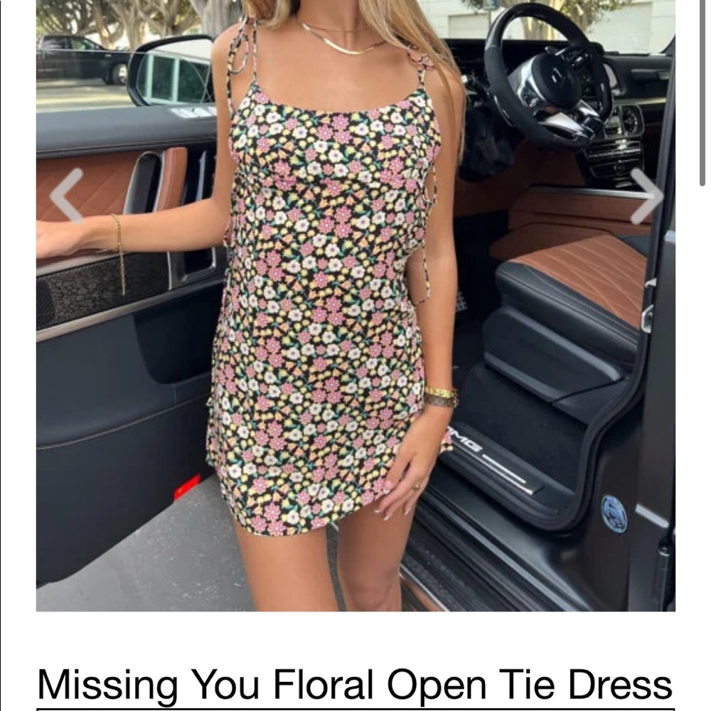 Isabelle’s Cabinet dress